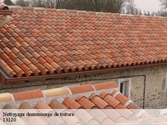 Nettoyage demoussage de toiture  13120