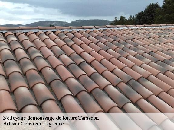 Nettoyage demoussage de toiture  tarascon-13150 Artisan Couvreur Lagrenee