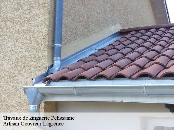 Travaux de zinguerie  pelissanne-13330 Artisan Couvreur Lagrenee